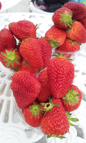 2013-03-20 13.22.07.jpg